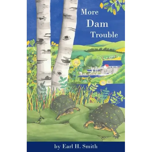 More Dam Trouble