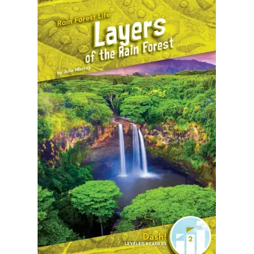 Layers of the Rain Forest