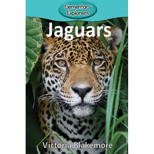 Jaguars