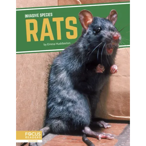 Rats