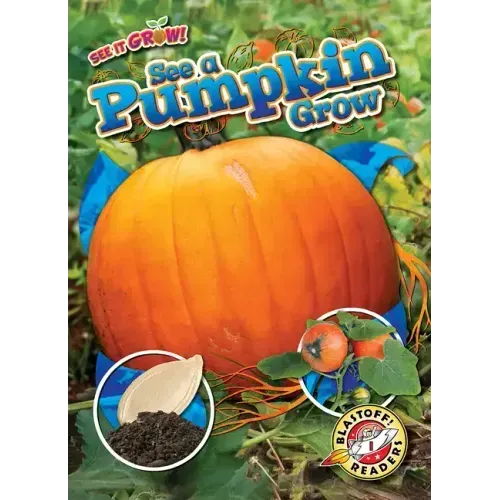 See a Pumpkin Grow