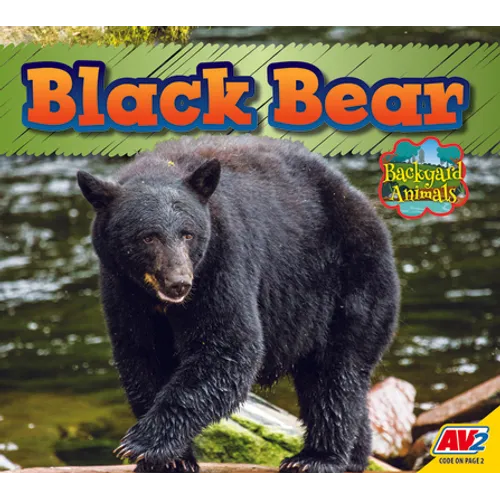 Black Bear