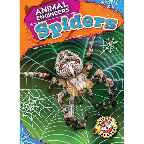 Spiders