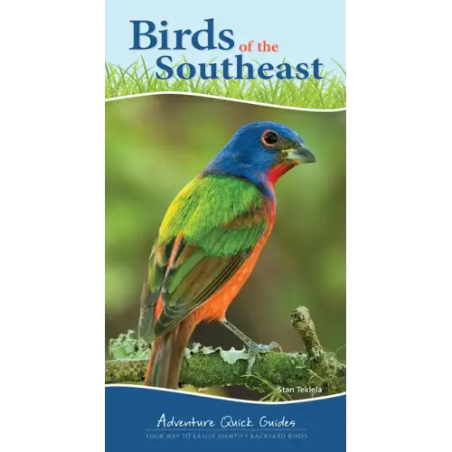 Birds of the Southeast: Your Way to Easily Identify Backyard Birds