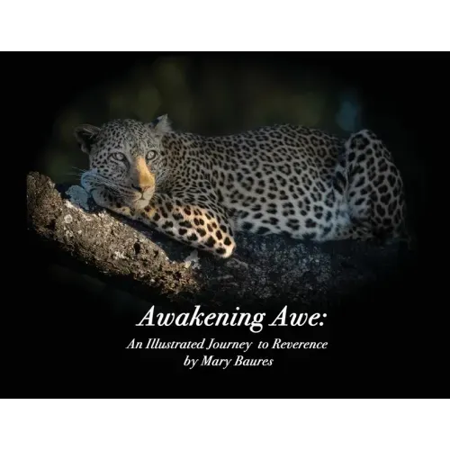 Awakening Awe: An Illustrated Journey to Reverence
