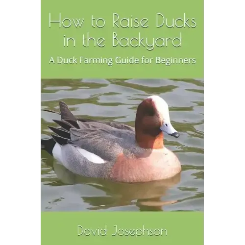 How to Raise Ducks in the Backyard: A Duck Farming Guide for Beginners