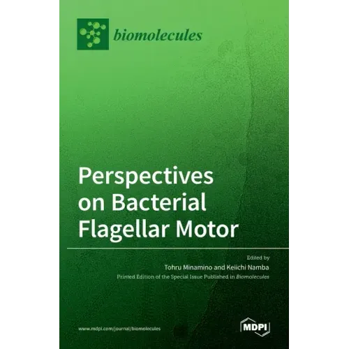 Perspectives on Bacterial Flagellar Motor