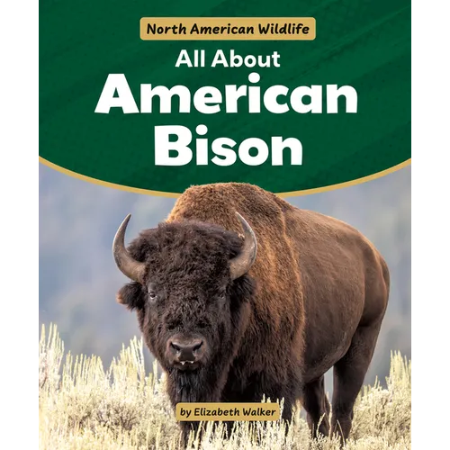 All about American Bison