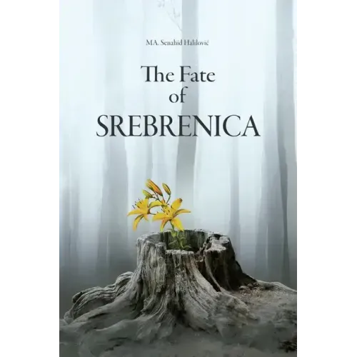 The Fate Of Srebrenica
