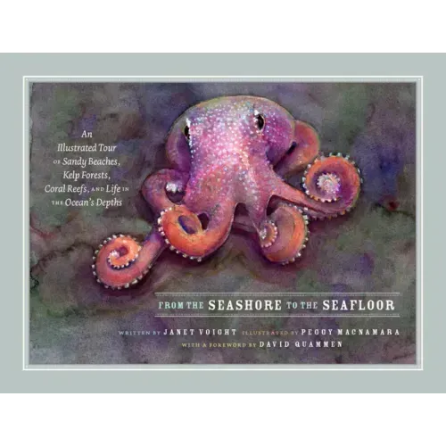 From the Seashore to the Seafloor: An Illustrated Tour of Sandy Beaches, Kelp Forests, Coral Reefs, and Life in the Ocean's Depths