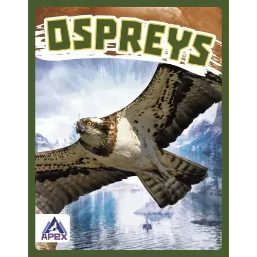 Ospreys