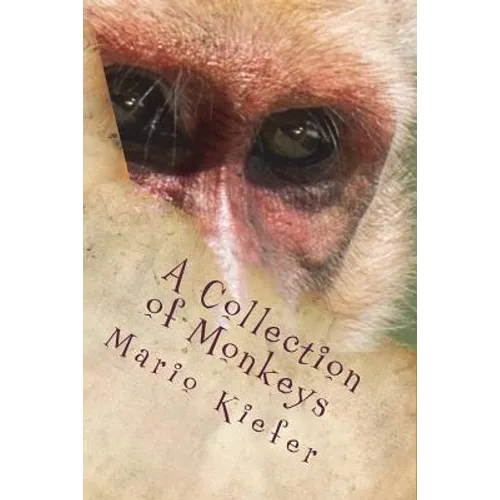 A Collection of Monkeys