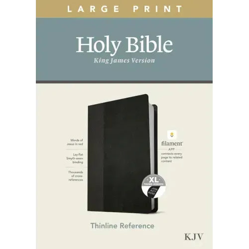 KJV Large Print Thinline Reference Bible, Filament Enabled Edition (Red Letter, Leatherlike, Black/Onyx, Indexed)