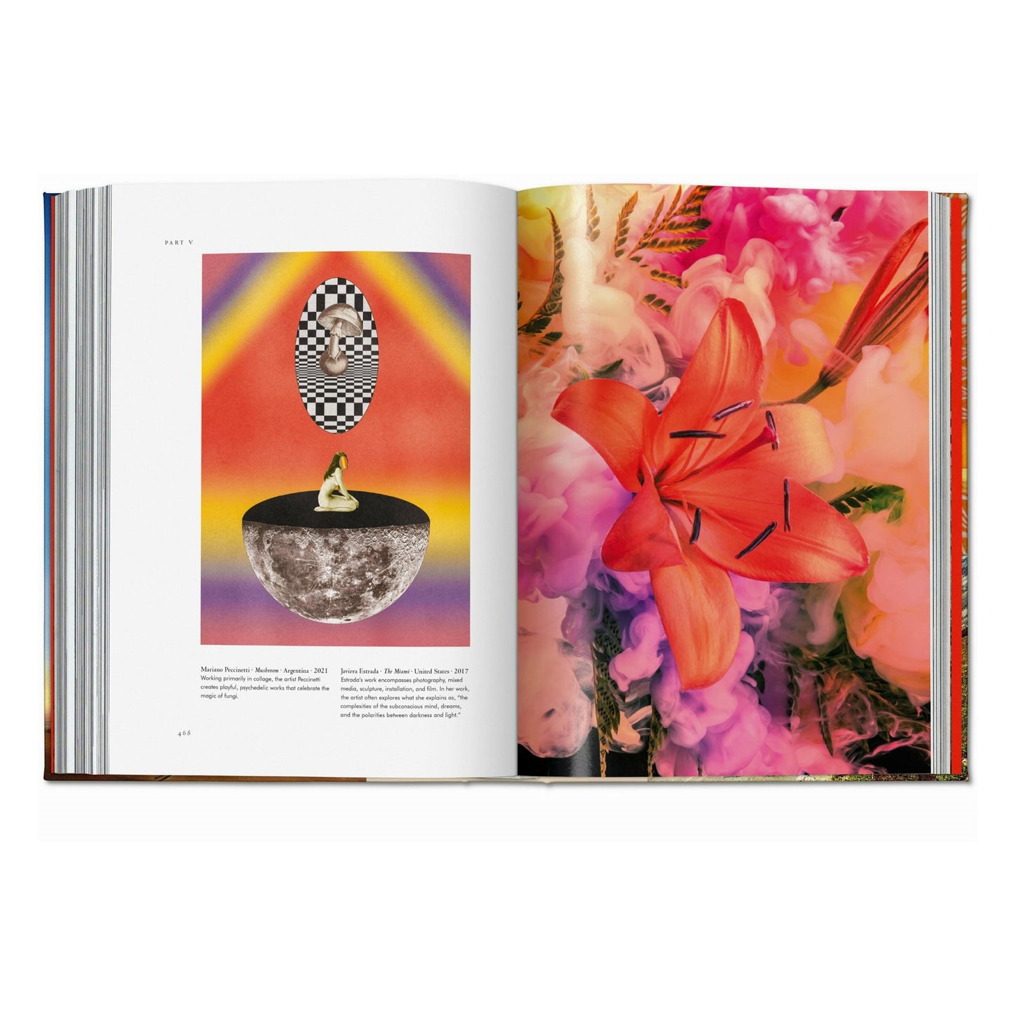 Plant Magick. The Library of Esoterica (English) Book