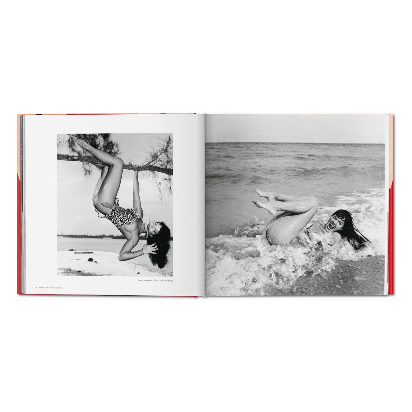 The Big Book of Legs (German, French, English) Book