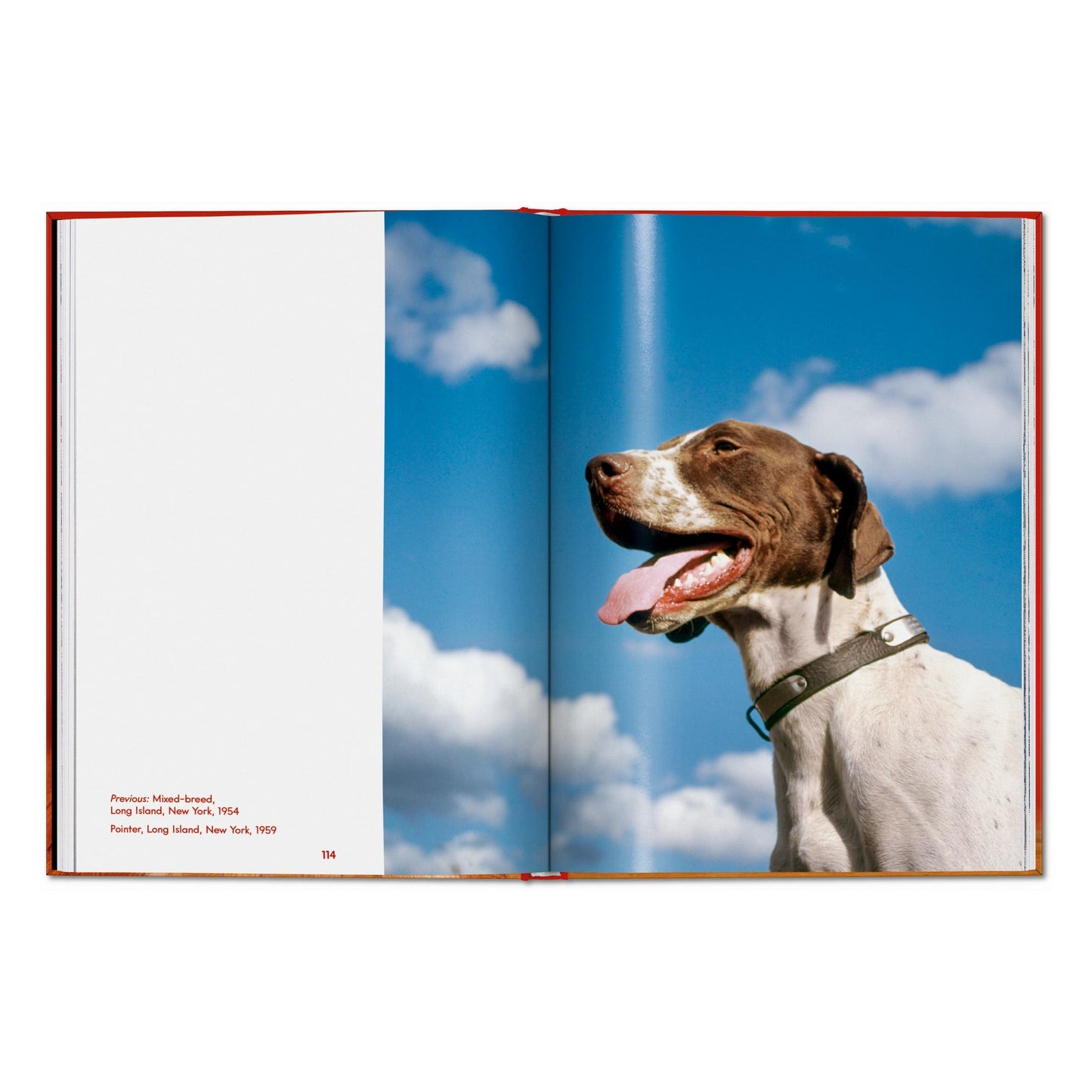 Walter Chandoha. Dogs. Photographs 1941–1991 (English) Book