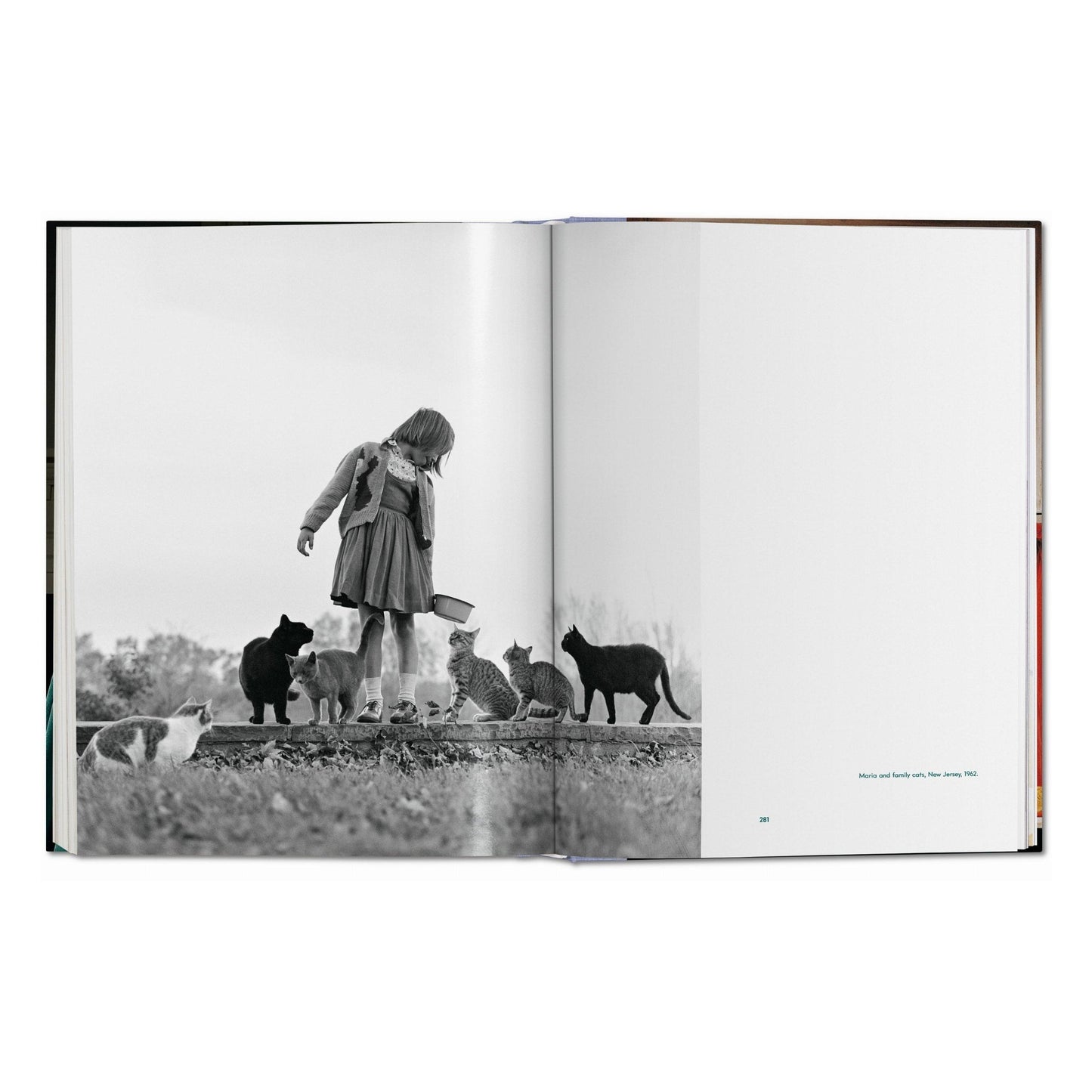 Walter Chandoha. Cats. Photographs 1942–2018 (German, French, English) Book