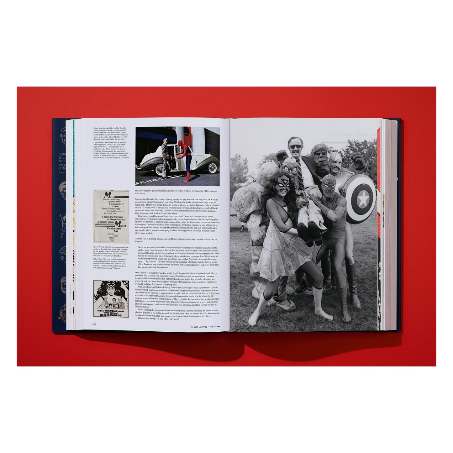 The Stan Lee Story (English) Book