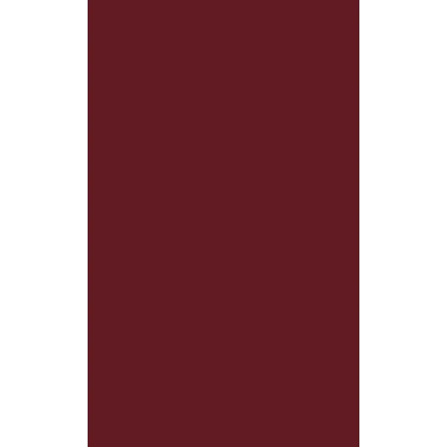 The Indonesian National Revolution 1945-1950