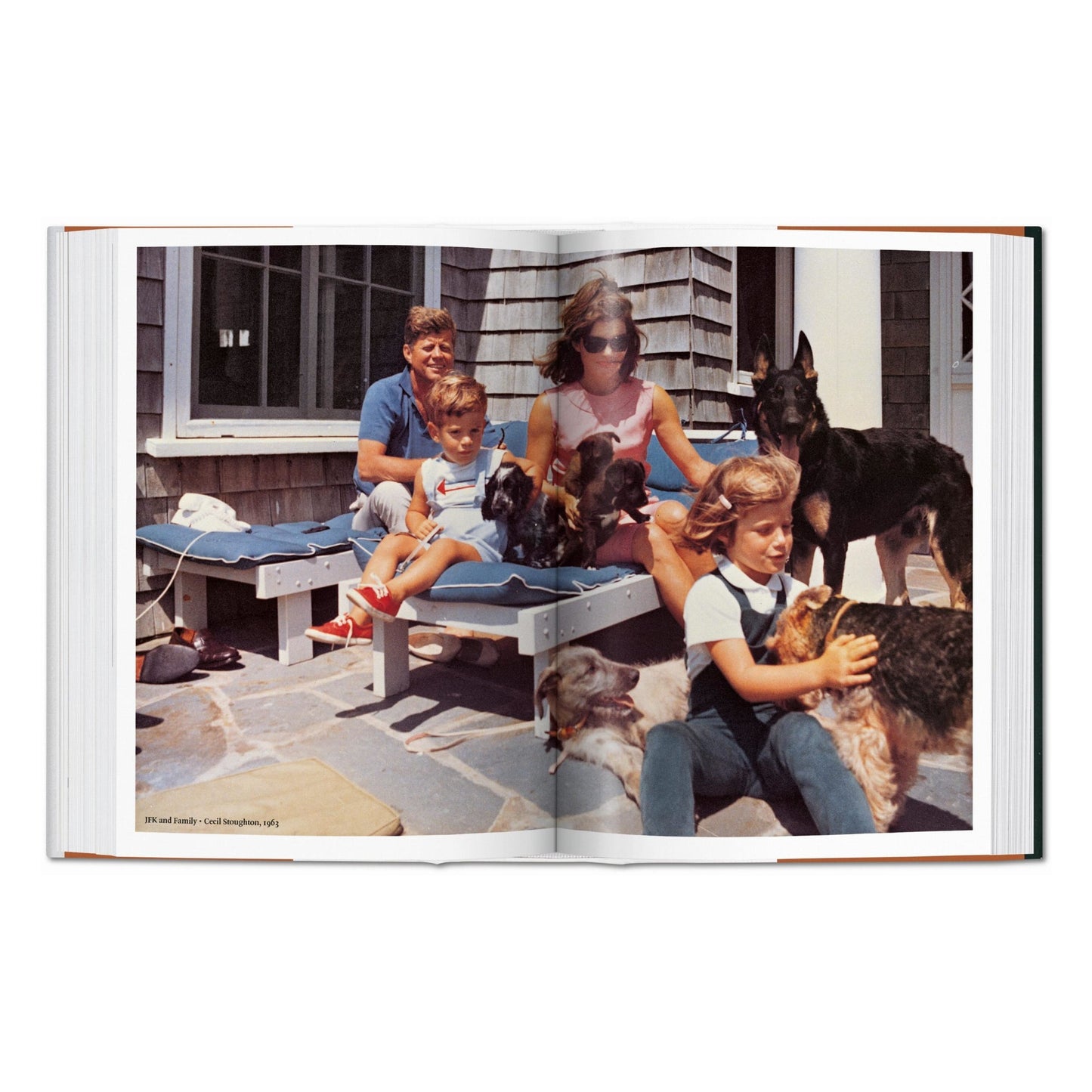 The Dog in Photography 1839–Today (German, French, English) Book
