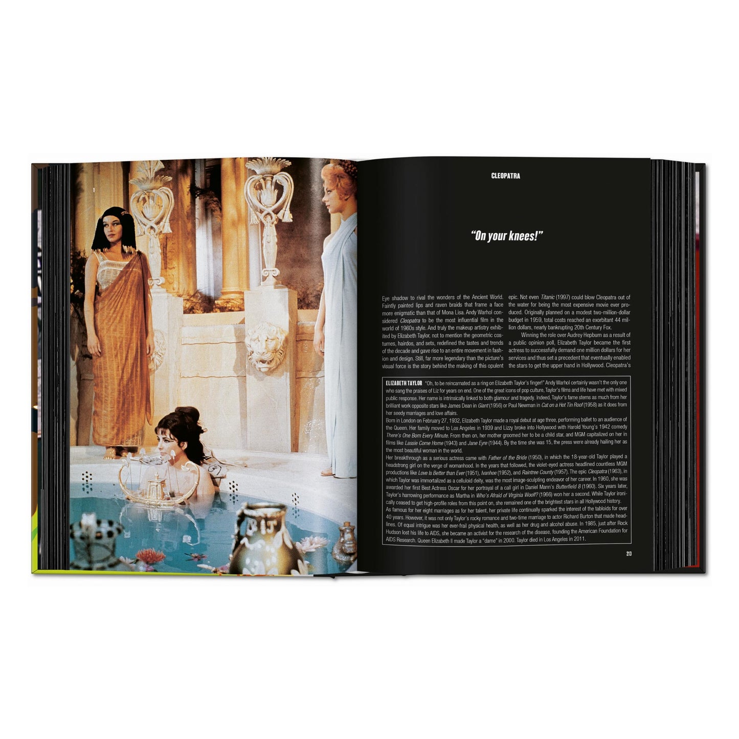 100 Movies of the 1960s (English) Book