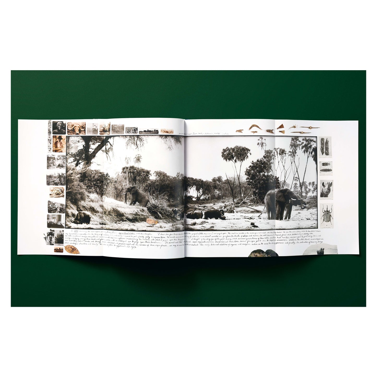 Peter Beard (German, French, English) Book