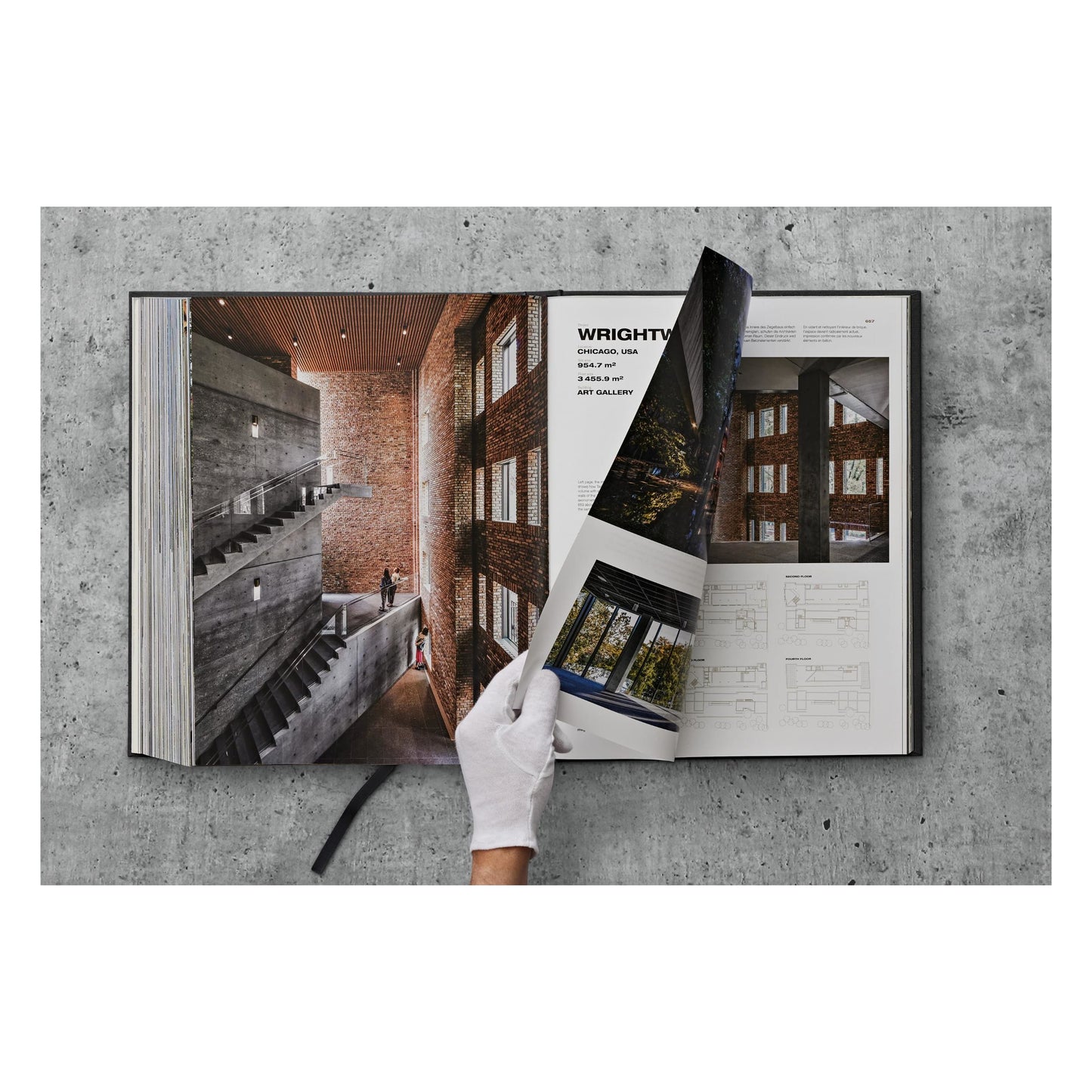 Ando. Complete Works 1975–Today. 2023 Edition (German, French, English) Book
