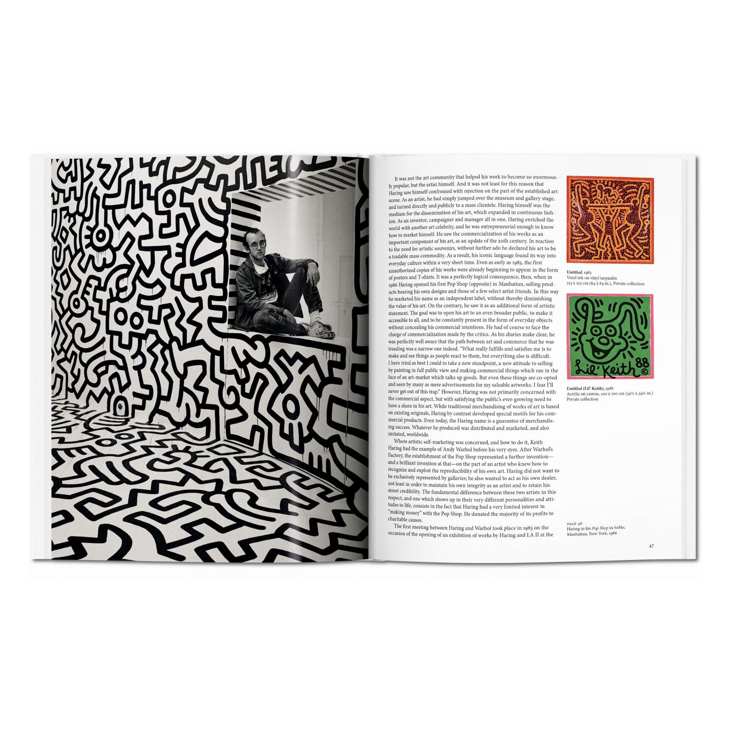 Haring (English) Book