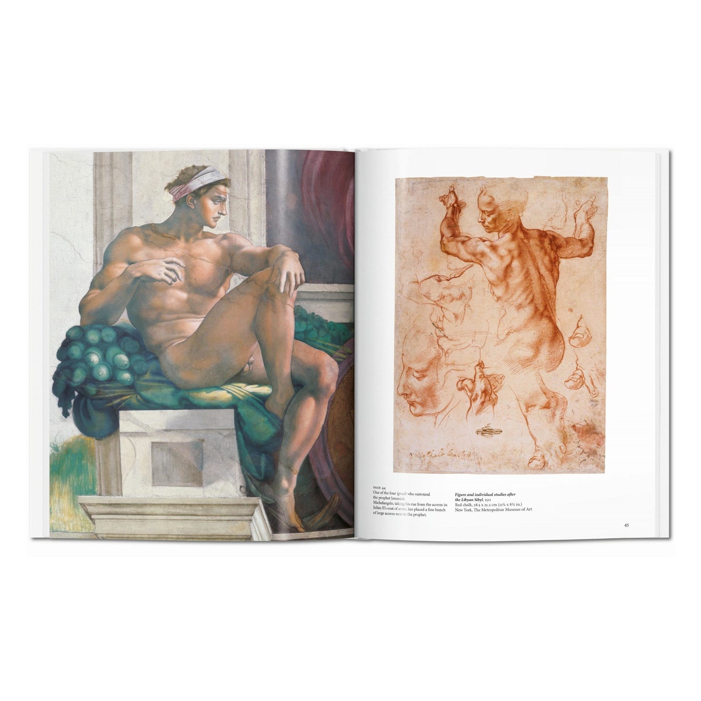 Michelangelo (English) Book