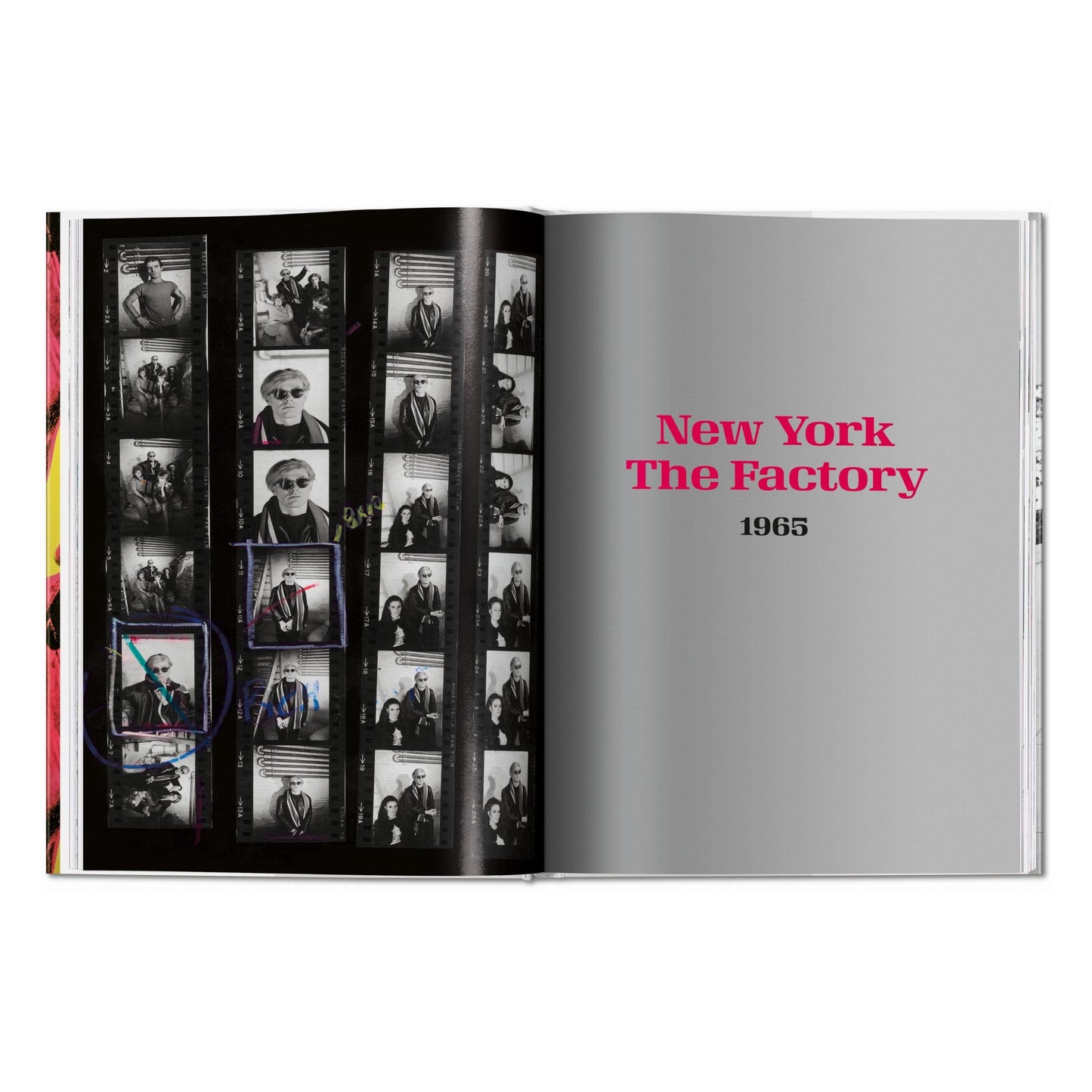 Steve Schapiro. Andy Warhol and Friends (English) Book