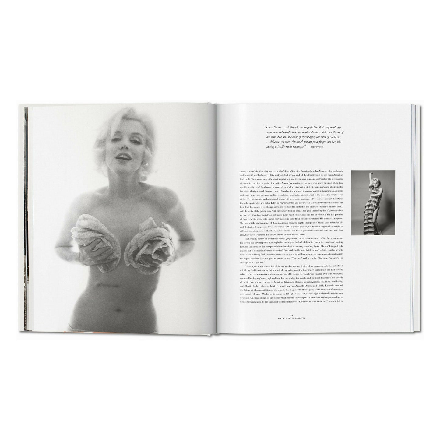 Norman Mailer. Bert Stern. Marilyn Monroe (English) Book