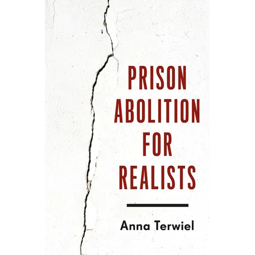Prison Abolition for Realists