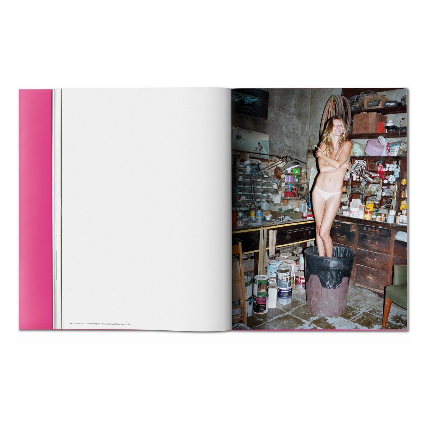 Gisele Bündchen (English) Book