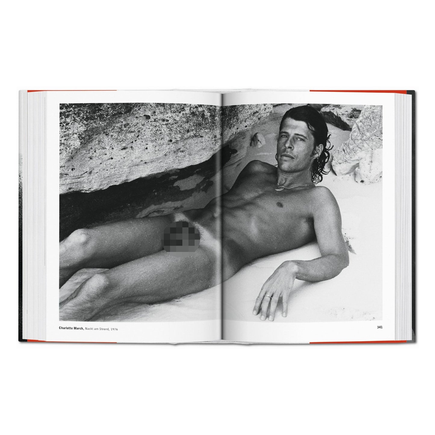 The Male Nude (German, French, English) Book