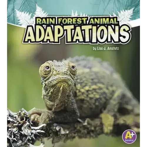 Rain Forest Animal Adaptations