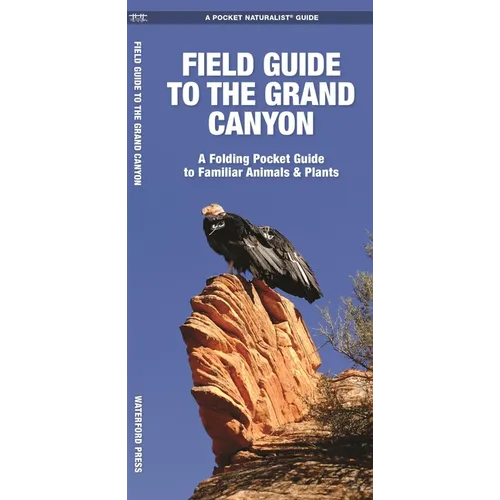 Field Guide to the Grand Canyon: A Folding Pocket Guide to Familiar Plants & Animals