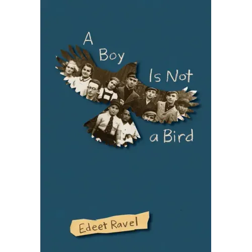 A Boy Is Not a Bird