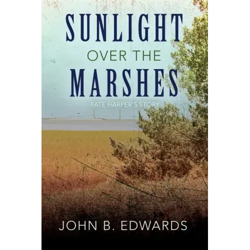 Sunlight Over the Marshes