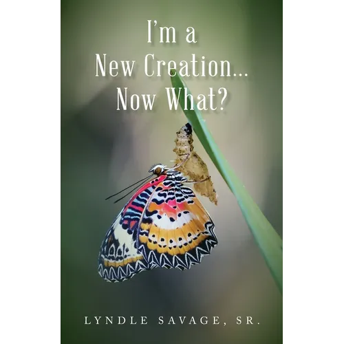 I'm a New Creation... Now What?