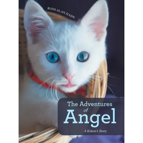 The Adventures of Angel: A Kitten's Story