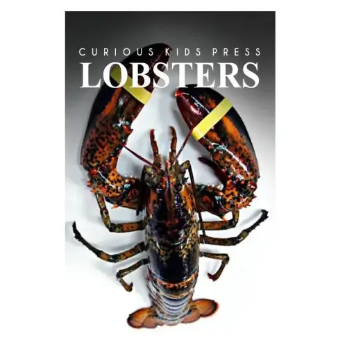Lobster - Curious Kids Press: Kids book about animals and wildlife, Children's books 4-6