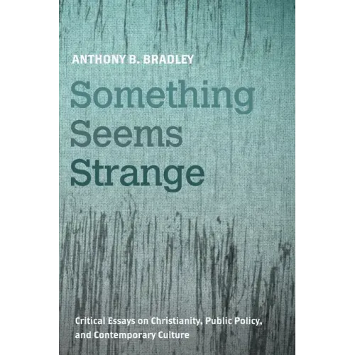 Something Seems Strange: Critical Essays on Christianity, Public Policy, and Contemporary Culture