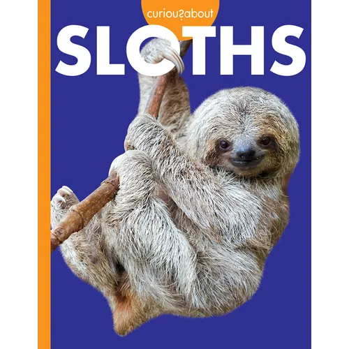Curious about Sloths