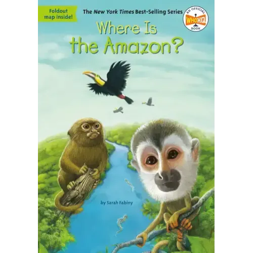 Where Is the Amazon?