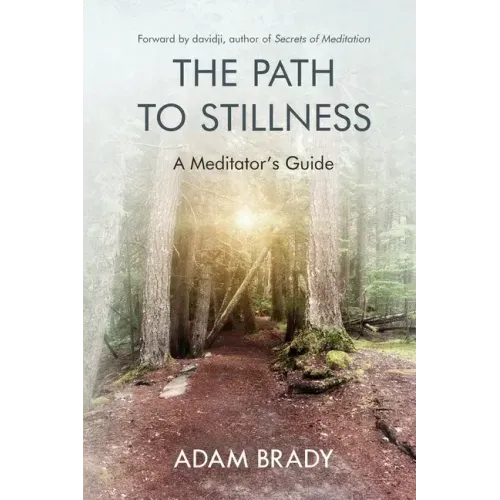 The Path to Stillness: A Meditator's Guide