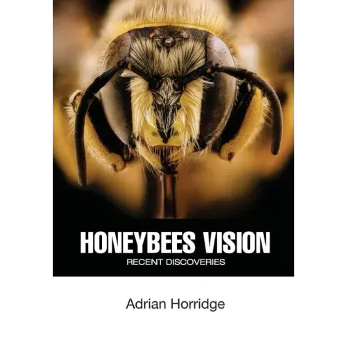 Honeybees Vision: Recent Discoveries