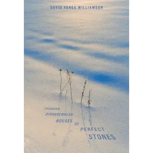 Through Disassembled Houses of Perfect Stones