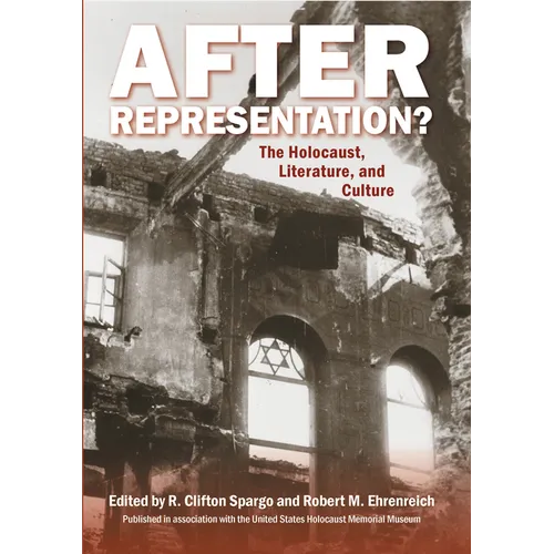 After Representation?: The Holocaust, Literature, and Culture