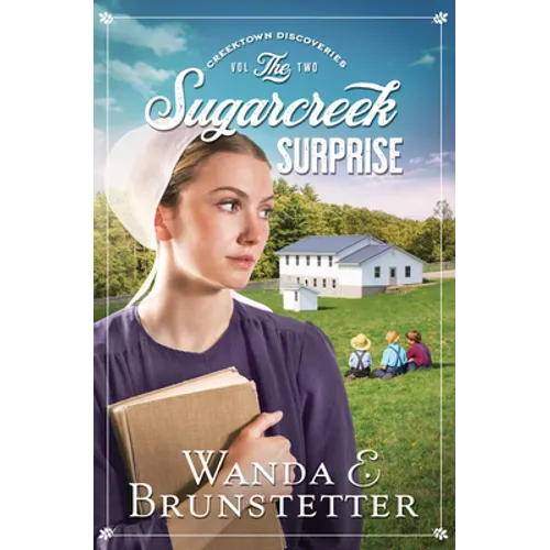 The Sugarcreek Surprise: Volume 2