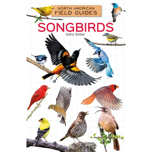 Songbirds